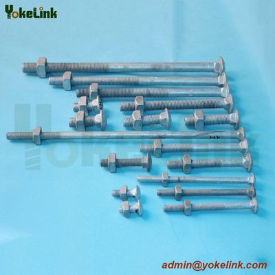Carriage Bolt