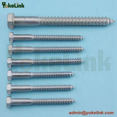 Lag Screw
